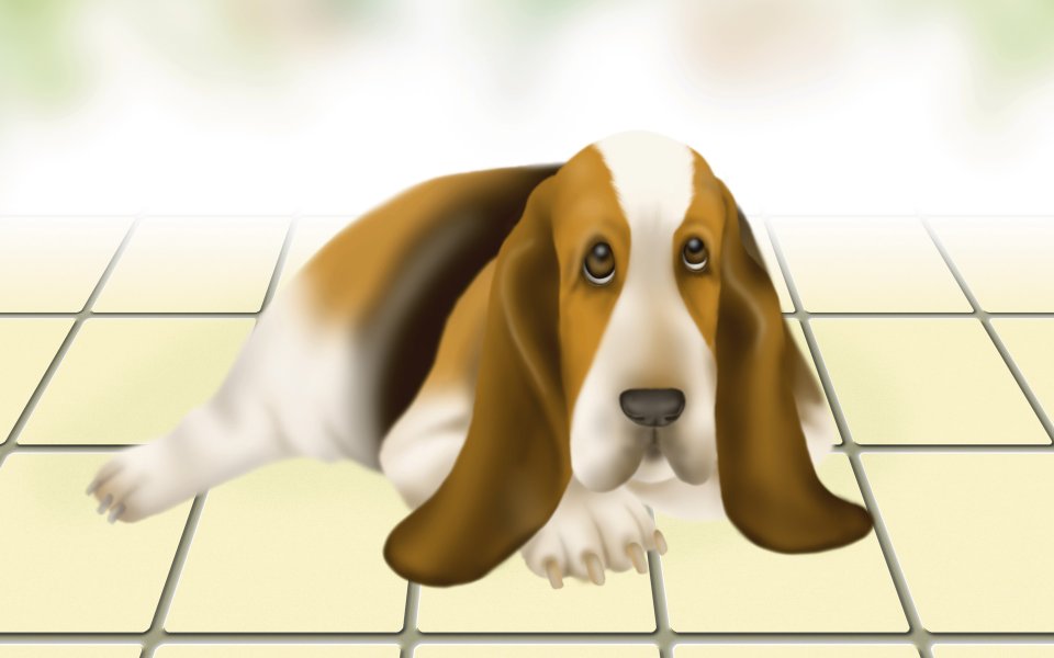 Cute Basset Hound Illustration