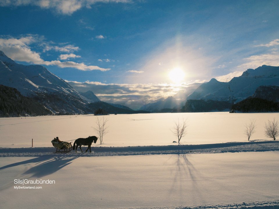 Swiss Graubünden Sils Lake Winter Snowscape With Horse Drawn Sleigh