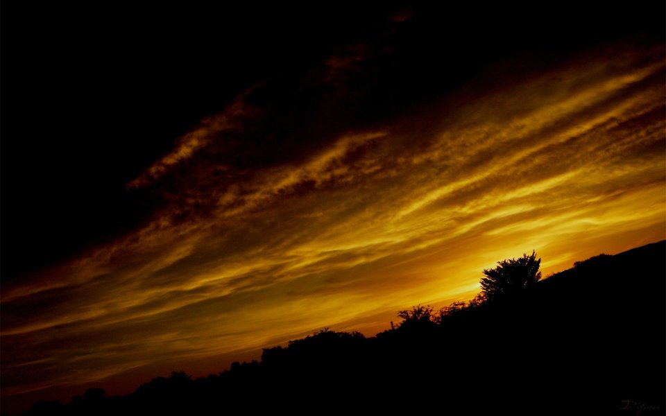 Magnificent Sunset Sky Clouds And Tree Silhouettes