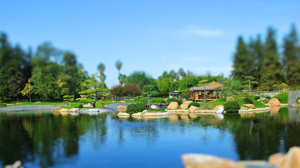 Japanese Japanese Garden Tilt Shift Photography Serene Healing Landscape