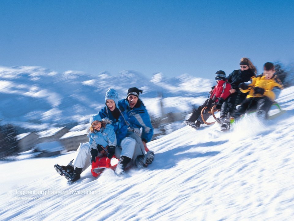 Winter Sledding Scene In Toggenburg Eastern Switzerland