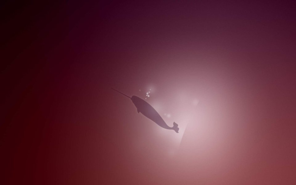 Narwhal Silhouette Deep Sea Light Art