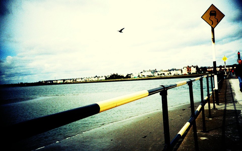 Lomo Style Seaside Promenade And Seagull