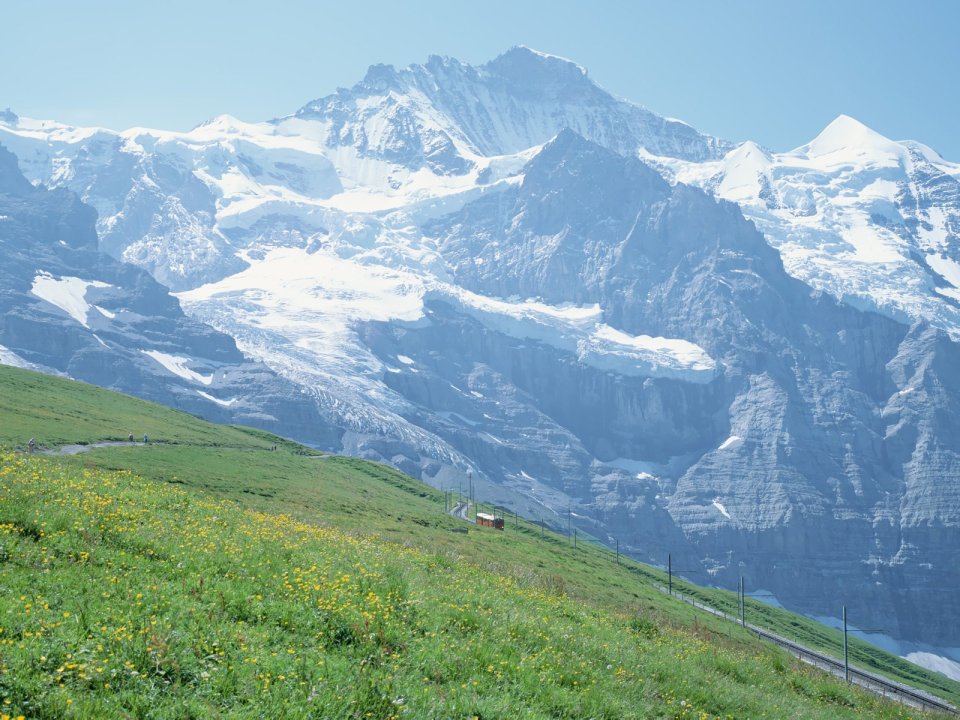 Swiss Alps Snowy Mountain Meadow Landscape