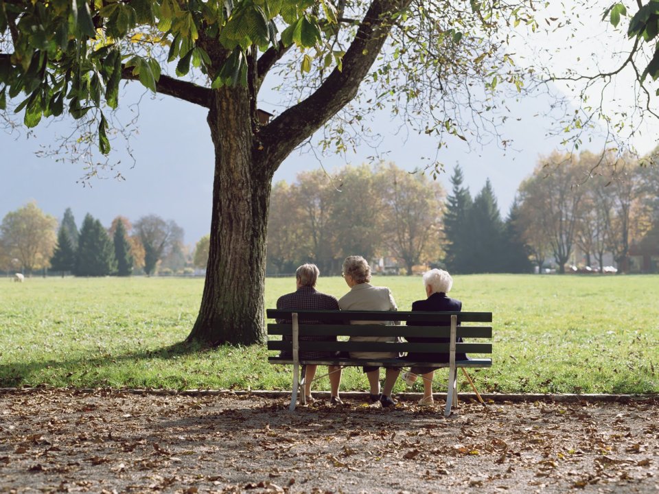 Three Elderly People Sitting On Bench In Swiss Park