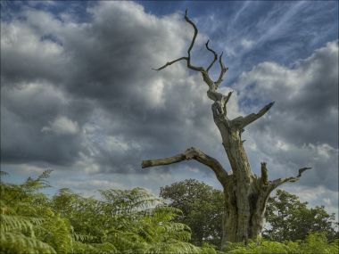 Graham Jeffery: Landscape Photography