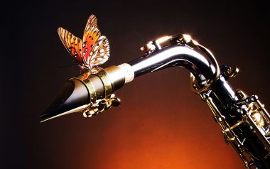 Butterfly Landing On A Saxophone