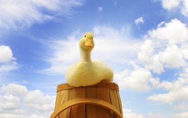 Cute Duckling Sitting On A Wooden Bucket