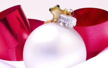 Frog On A Christmas Ornament