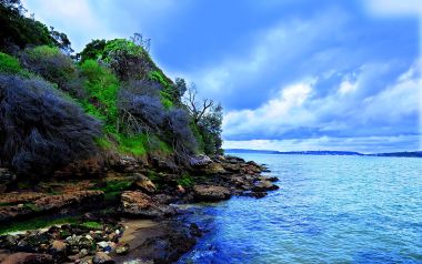 澳大利亚悉尼Treasure Island海岸风光