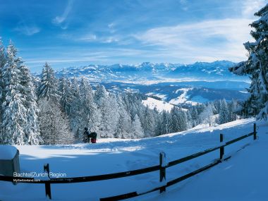 瑞士苏黎世地区Bachtel雪景