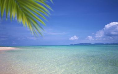日本冲绳海滩清澈海水蓝天棕榈叶