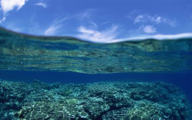 日本冲绳清澈海水与珊瑚礁水下景观