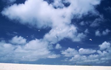 Okinawa Beach Blue Sky White Clouds Seabirds