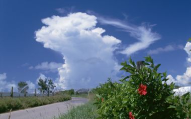 日本冲绳乡村道路蓝天白云朱槿花