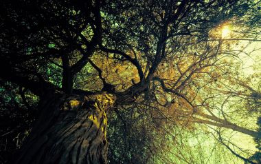 Ubuntu Official Wallpapers: Lucid & Karmic Landscapes