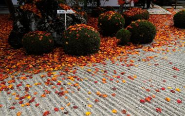 Kyoto Enkoji Temple Zen Garden Autumn Scenery