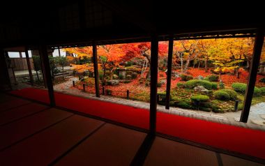 日本圆觉寺秋日庭院景观