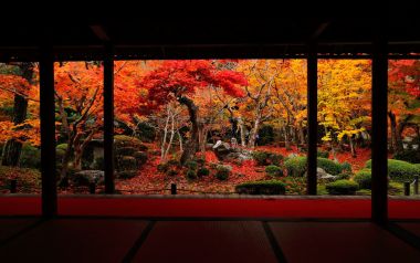 日本圆觉寺秋日红叶庭院景观