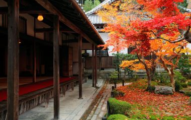 日本京都圆觉寺木质廊道红枫庭院秋景