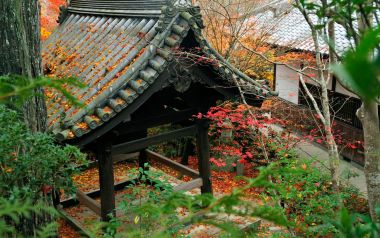 Japan Enkoji Temple Autumn Red Leaves And Traditional Architecture