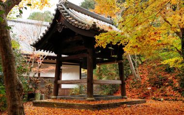 日本京都圆觉寺秋日红叶与传统建筑