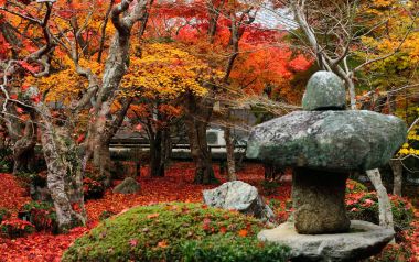 日本京都圆觉寺秋日红叶石灯笼景观