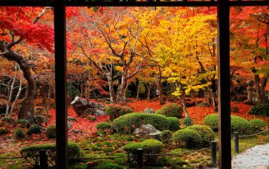 Kyoto Enkoji Temple Autumn Red Leaves Garden Landscape