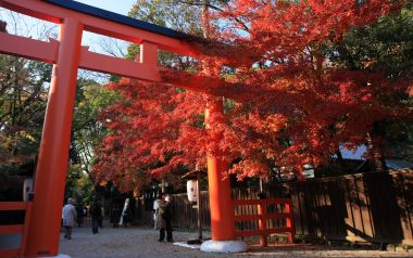 日本京都下鸭神社秋季红叶与鸟居