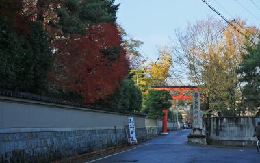 日本京都下鸭神社秋日红叶与红色鸟居