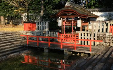 日本京都下鸭神社秋季景观