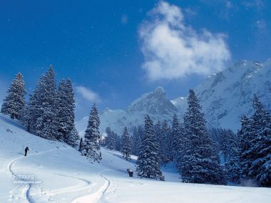 瑞士弗里堡雪景滑雪者