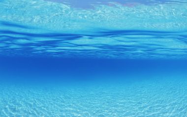 Maldives Aquamarine Clear Sea Underwater Landscape