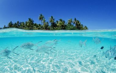 Maldives Tropical Island Clear Sea Tropical Fish