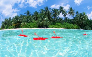 Maldives Hibiscus Floating Tropical Island Scenery