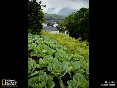 中国乡村农田与云雾山脉景观