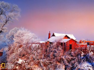 中国冬季乡村雪景与霜树