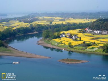 中国乡村油菜花田与蜿蜒河流风光