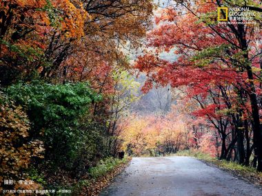 中国秋日林间小路 五彩斑斓的秋季森林景观