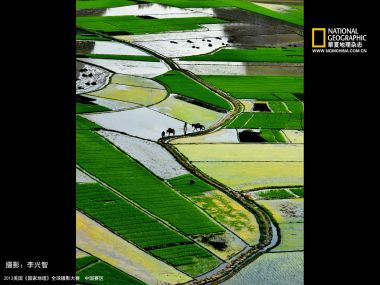 中国田园稻田航拍景观