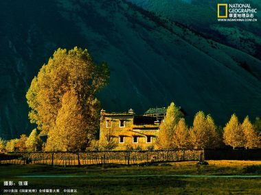 中国藏式建筑与金黄秋景