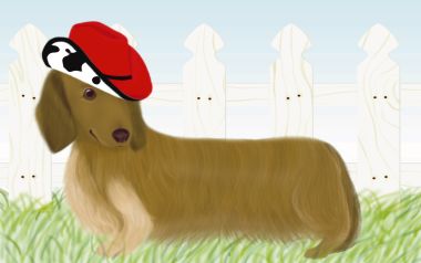 Cute Long Haired Dachshund With Red Hat Illustration