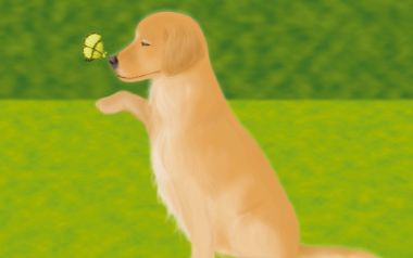 Golden Retriever With Butterfly Illustration
