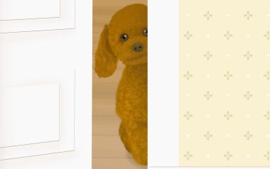 Cute Poodle Peeking From Door