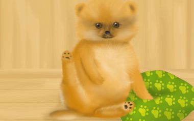 Cute Pomeranian Digital Illustration