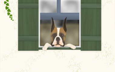 Cute Boxer Dog At The Window Illustration