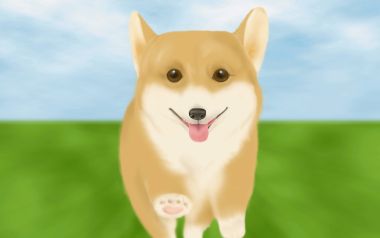 Cute Corgi Running Illustration