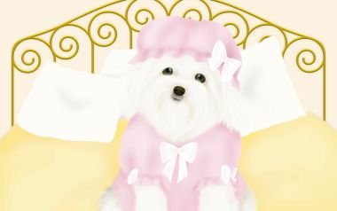 可爱粉色睡衣比熊犬插画