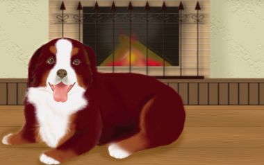 Cute Bernese Mountain Dog By The Fireplace