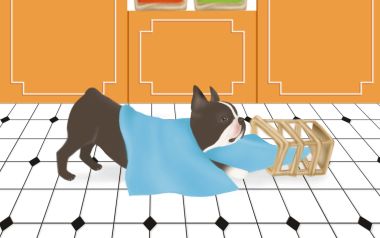 Boston Terrier Puppy Playing Illustration